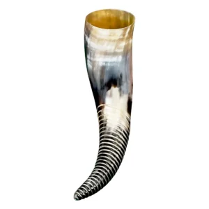 Natural Viking Horn