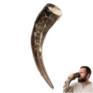 Engraved Viking Drinking Horn