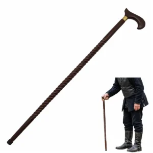 60272-Featured-Ai Chronicle Walking Cane