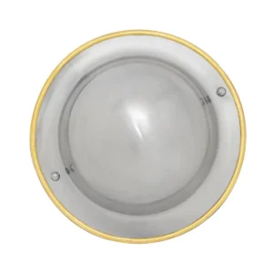 Small Buckler Shield 16 Gauge Steel With Brass Rim