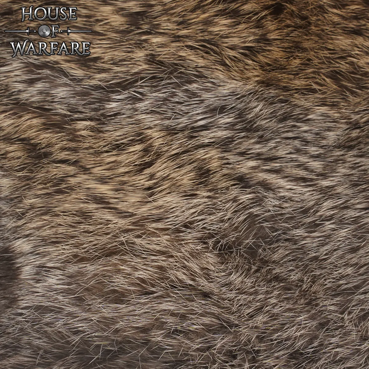701880-Gallery-3
